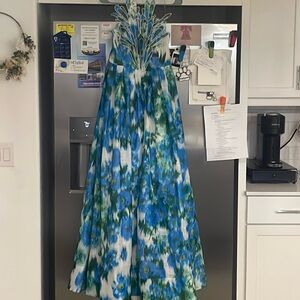 NWT Simply D’Vine Peacock Elegance Maxi Dress